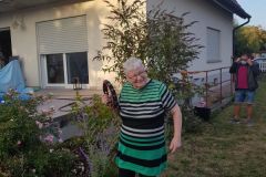 321616009259355277559601051959291567