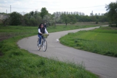 OLYMPUS DIGITAL CAMERA