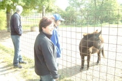 DC4300 Digital Camera