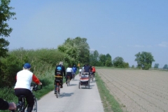 DC4300 Digital Camera